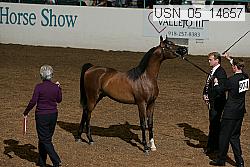 usn_05_14657 thumbnail