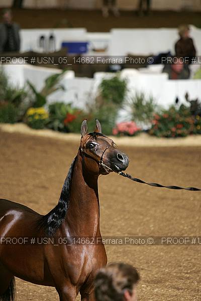 Proof Number usn_05_14662