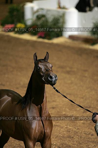 Proof Number usn_05_14667