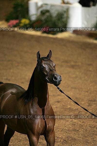 Proof Number usn_05_14668