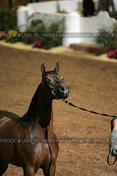 Proof Number usn_05_14669