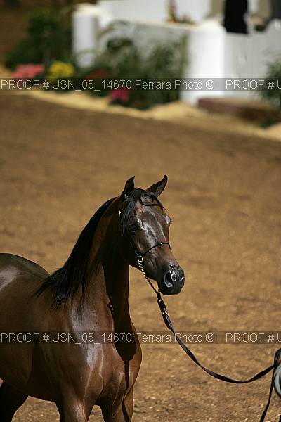 Proof Number usn_05_14670