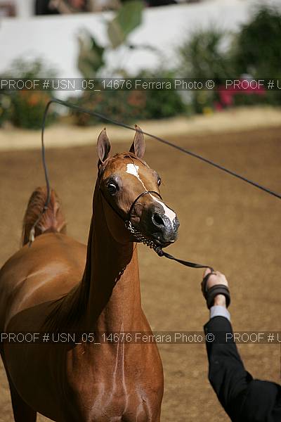 Proof Number usn_05_14676
