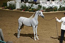 usn_05_14686 thumbnail