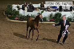 usn_05_14716 thumbnail
