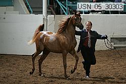 usn_05_30303 thumbnail