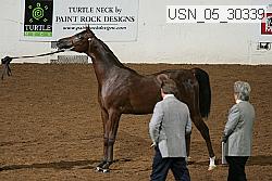 Proof Number usn_05_30339