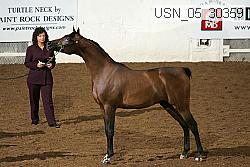 usn_05_30359 thumbnail