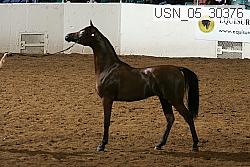 usn_05_30376 thumbnail