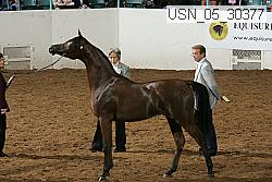 Proof Number usn_05_30377