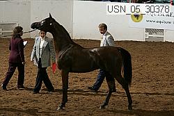 usn_05_30378 thumbnail