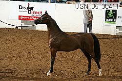 Proof Number usn_05_30412