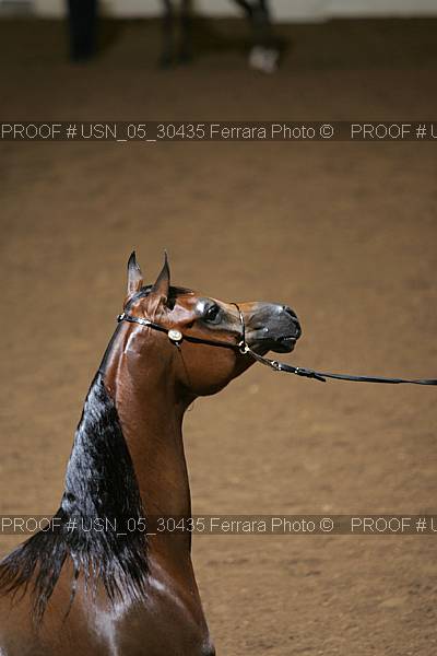 Proof Number usn_05_30435