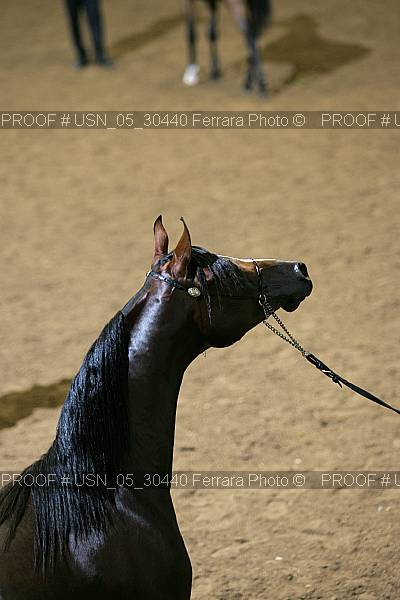 Proof Number usn_05_30440