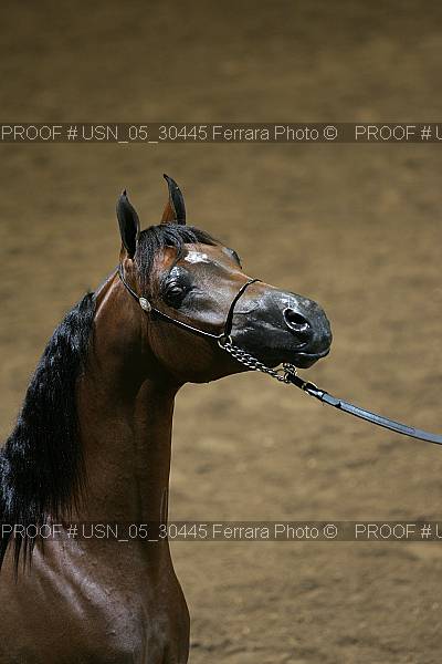 Proof Number usn_05_30445