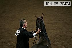 Proof Number usn_05_30474