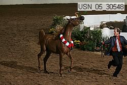 Proof Number usn_05_30548