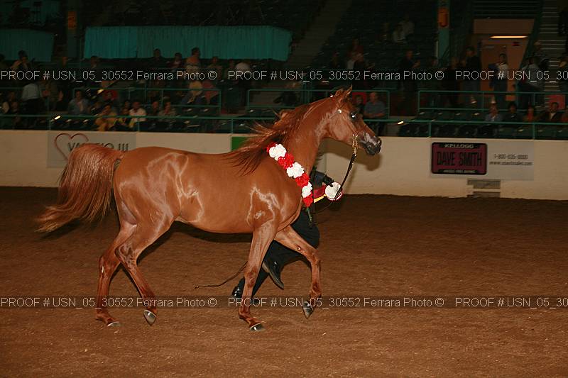 Proof Number usn_05_30552