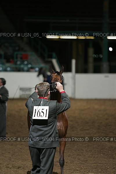 Proof Number usn_05_10604