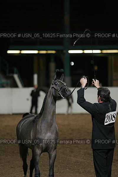 Proof Number usn_05_10625