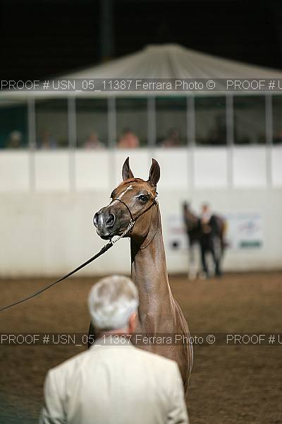 Proof Number usn_05_11387