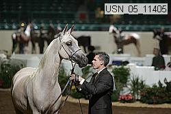 Proof Number usn_05_11405