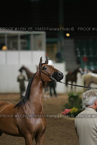 Proof Number usn_05_11433