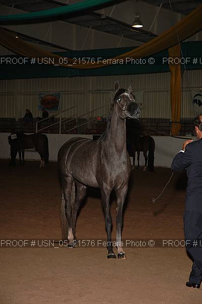 Proof Number usn_05_21576