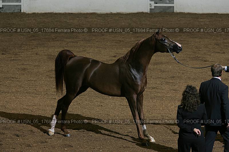 Proof Number usn_05_17684
