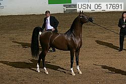 Proof Number usn_05_17692