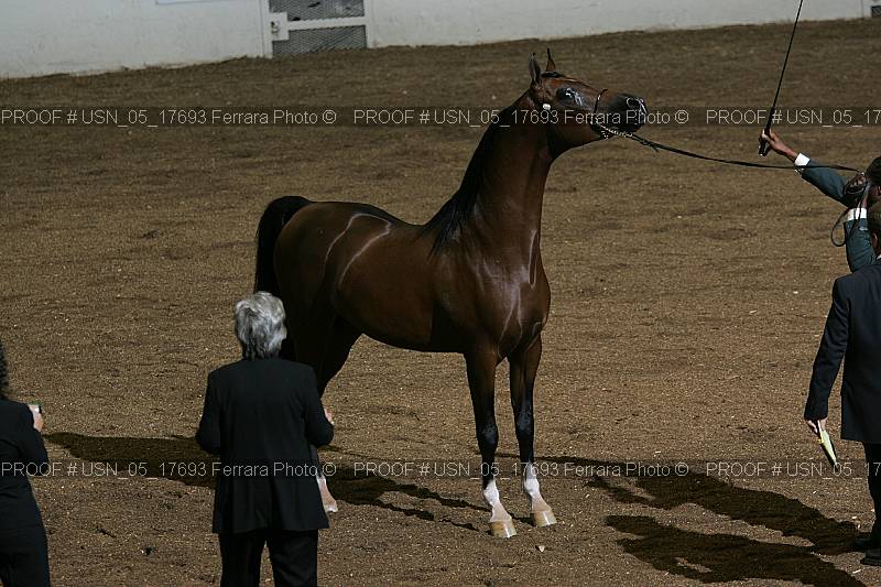 Proof Number usn_05_17693