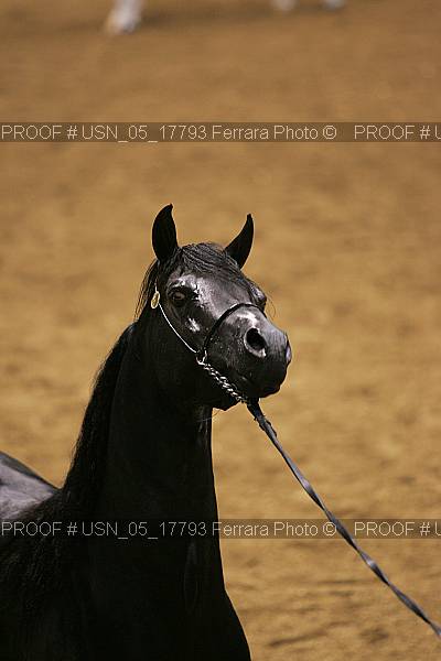 Proof Number usn_05_17793