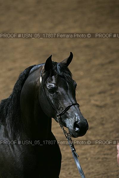 Proof Number usn_05_17807