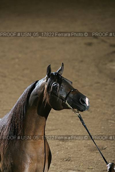 Proof Number usn_05_17822