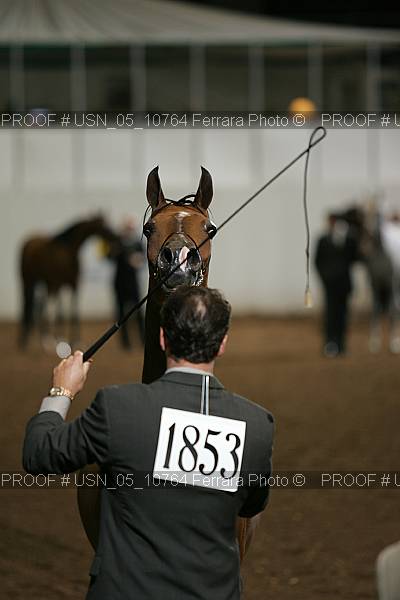 Proof Number usn_05_10764