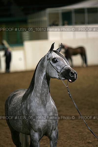 Proof Number usn_05_10812