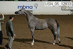 Proof Number usn_05_12933