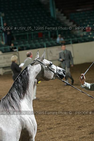 Proof Number usn_05_12985