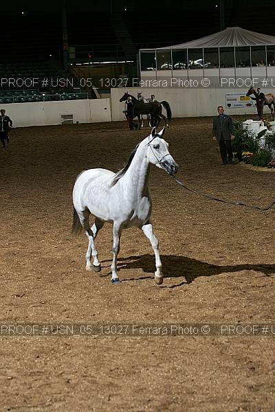 Proof Number usn_05_13027