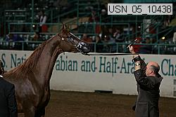 Proof Number usn_05_10438