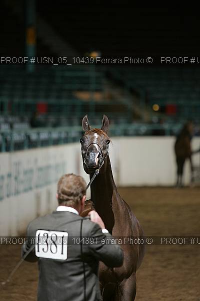 Proof Number usn_05_10439