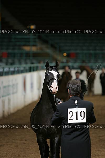 Proof Number usn_05_10444