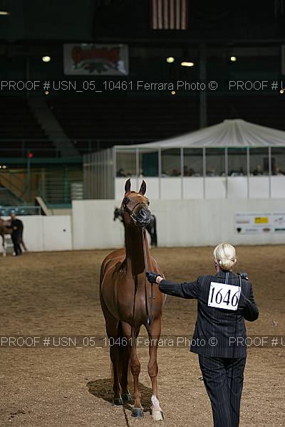 Proof Number usn_05_10461