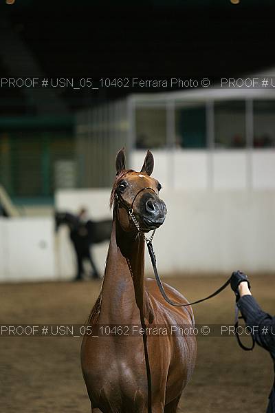 Proof Number usn_05_10462