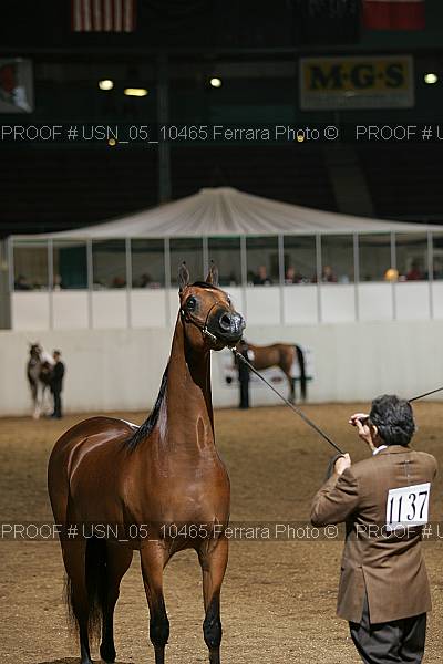 Proof Number usn_05_10465