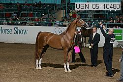 Proof Number usn_05_10480