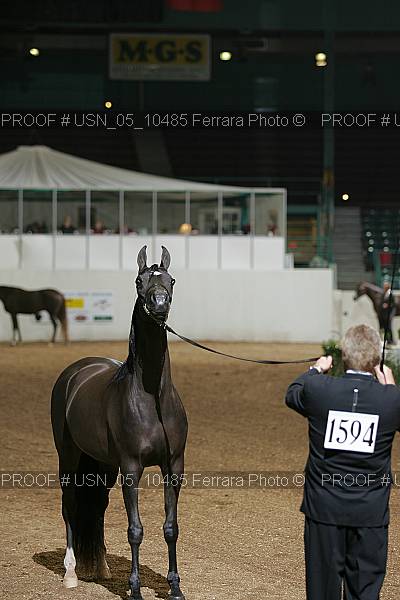 Proof Number usn_05_10485