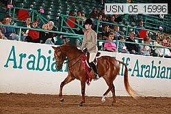 Proof Number usn_05_15996