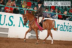 Proof Number usn_05_16009