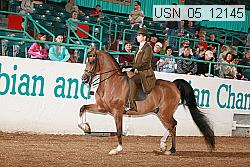 usn_05_12145 thumbnail